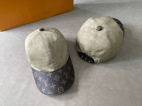 Louis Vuitton pet Beige/Bruin